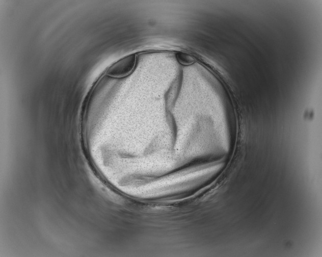 X0000115371471200911241229