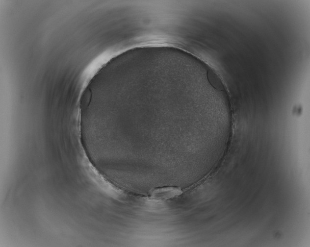 X0000115371472200911241228