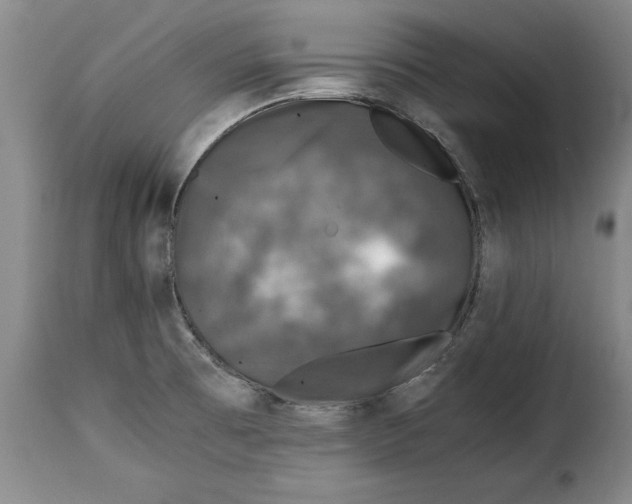 X0000115371473200911241228