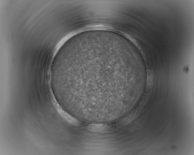 X0000115371474200911241228