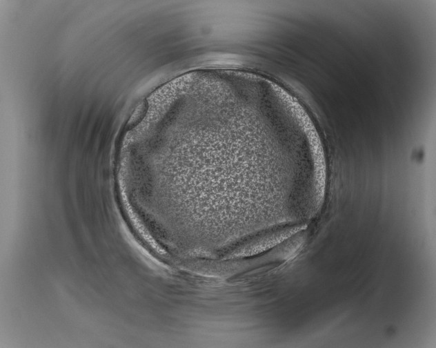 X0000115371475200911241228