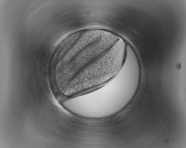 X0000115371476200911241228