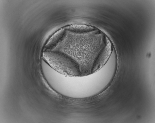 X0000115371477200911241228