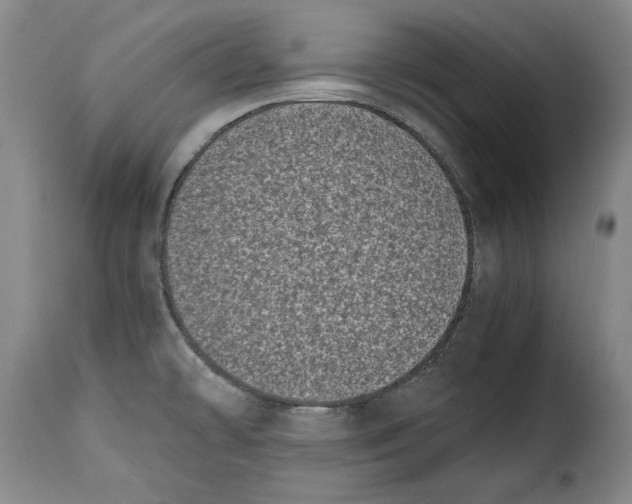X0000115371478200911241228