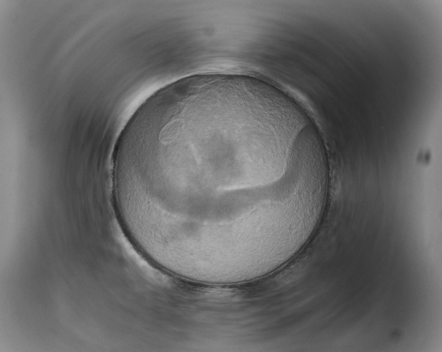 X0000115371479200911241228
