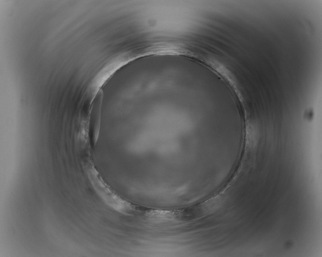 X0000115371481200911241228