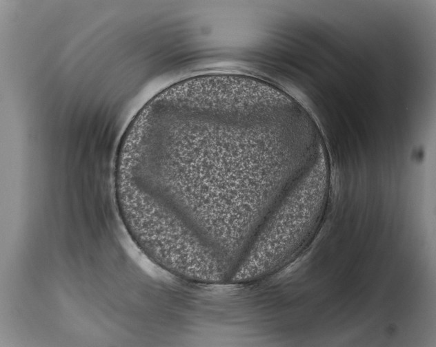 X0000115371482200911241228