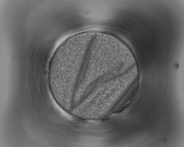 X0000115371483200911241228
