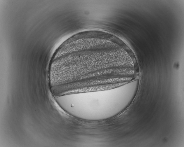 X0000115371485200911241228