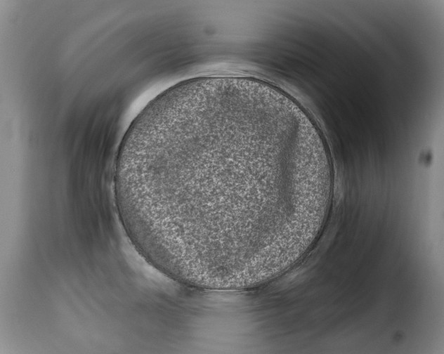 X0000115371486200911241228