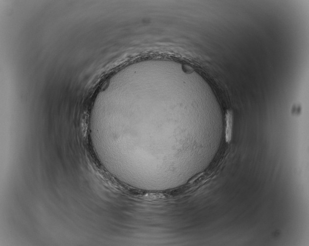 X0000115371491200911241228