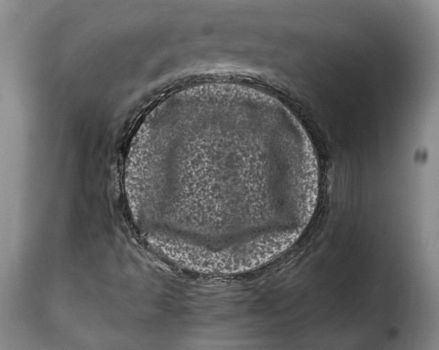 X0000115371493200911241228