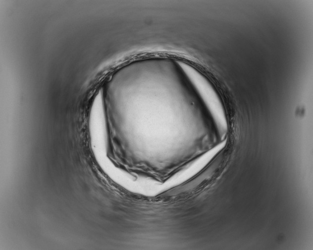 X0000115371494200911241228