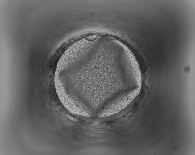 X0000115371495200911241228