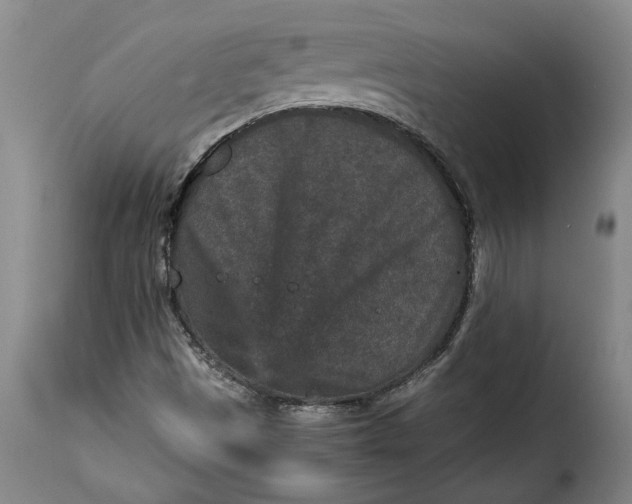 X0000115371497200911241228