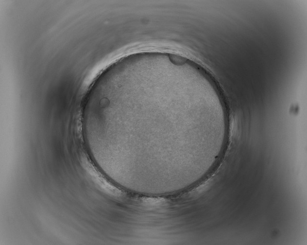 X0000115371498200911241228