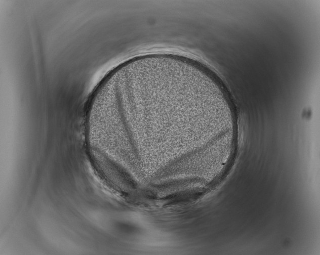 X0000115371501200911241228
