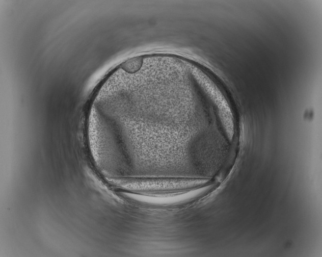 X0000115371502200911241228
