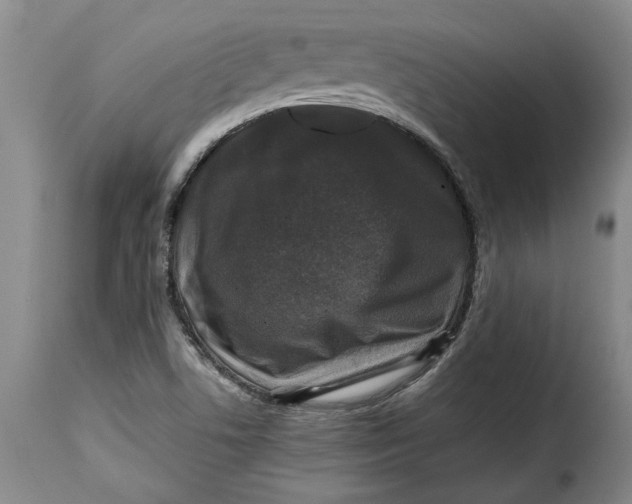 X0000115371506200911241228