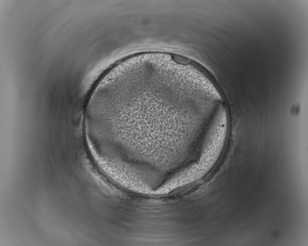 X0000115371507200911241228