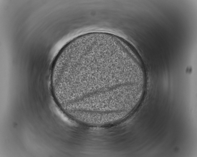 X0000115371511200911241228