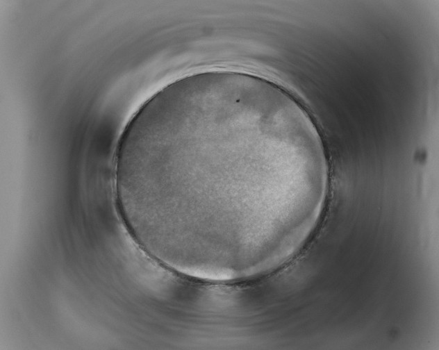 X0000115371514200911241228