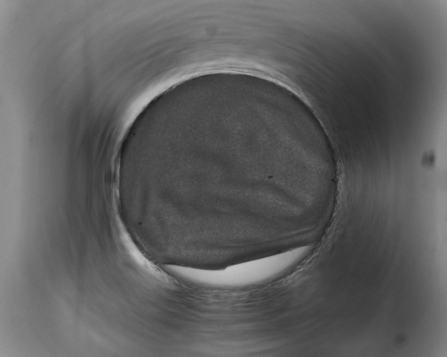 X0000115371515200911241228