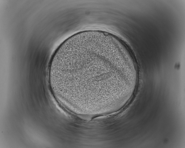 X0000115371517200911241228