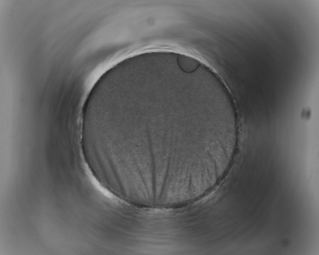 X0000115371519200911241228