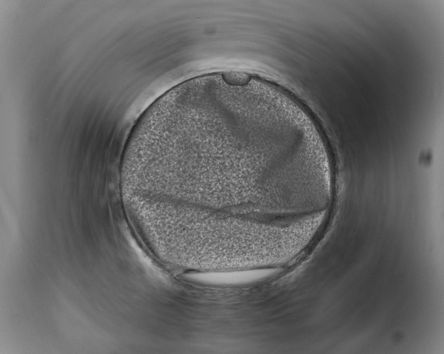X0000115371521200911241228