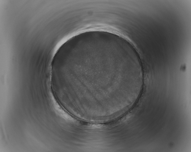 X0000115371522200911241228