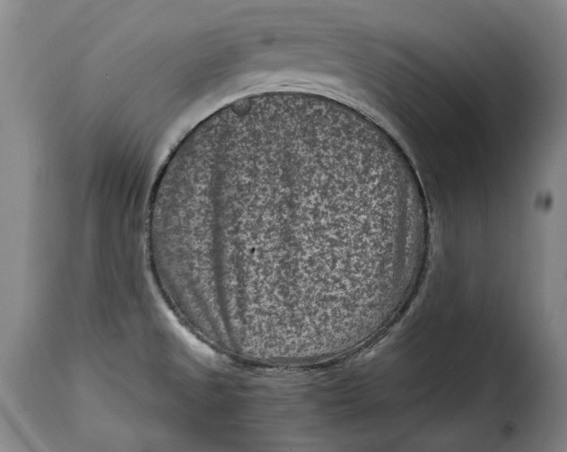 X0000115371525200911241228