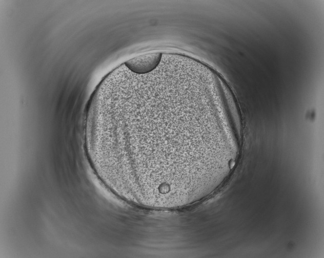 X0000115371526200911241228
