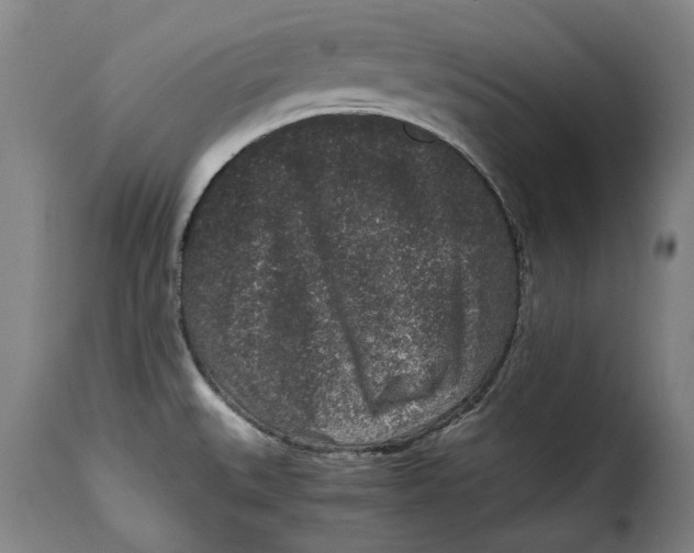 X0000115371527200911241228