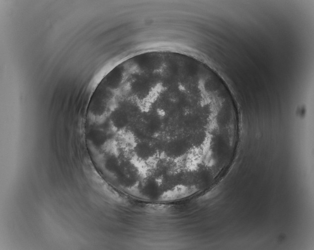 X0000115371529200911241228