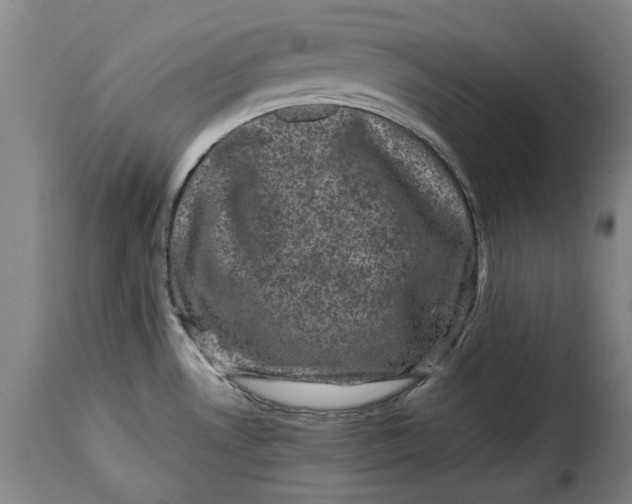 X0000115371530200911241228