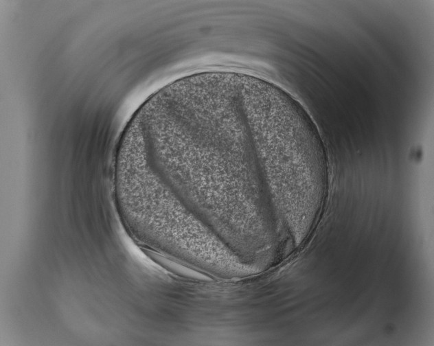 X0000115371531200911241228
