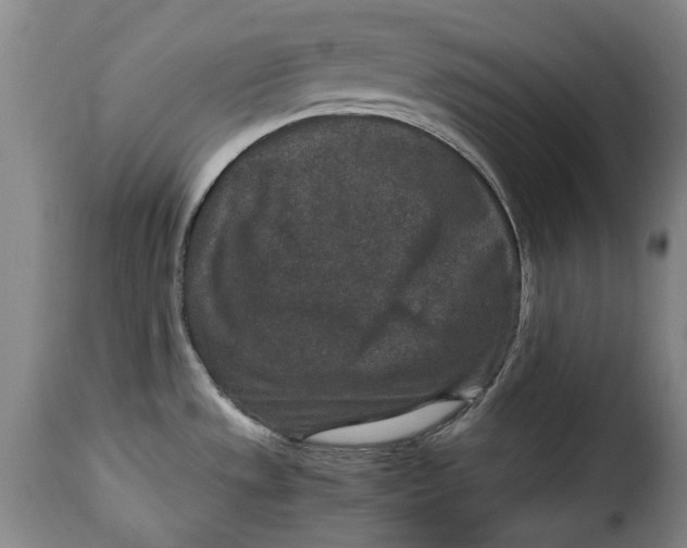 X0000115371533200911241228