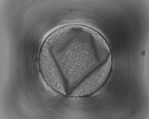 X0000115371534200911241228
