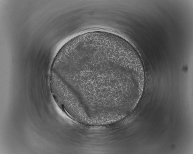 X0000115371535200911241228