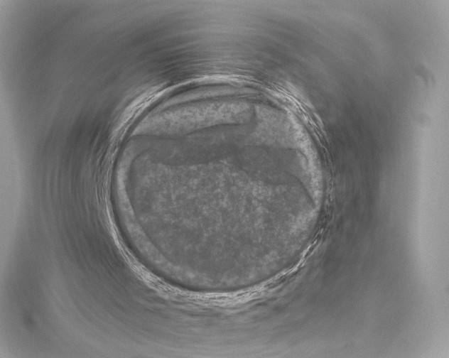 X0000115370001200912011143