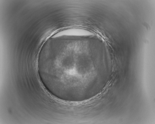 X0000115370002200912011143