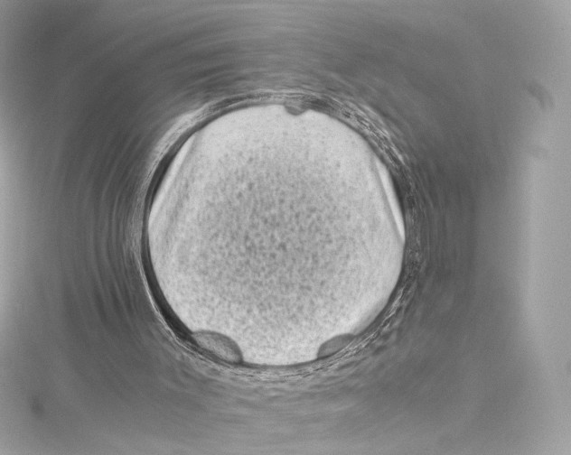 X0000115370003200912011143