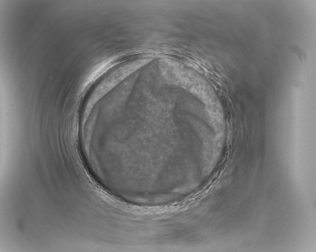 X0000115370005200912011143