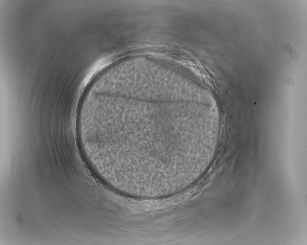 X0000115370006200912011143