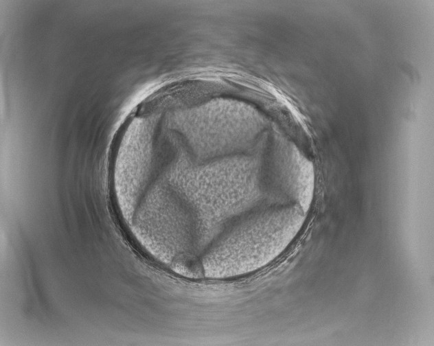 X0000115370008200912011143