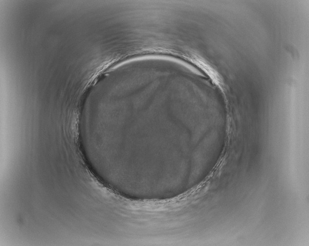 X0000115370009200912011143