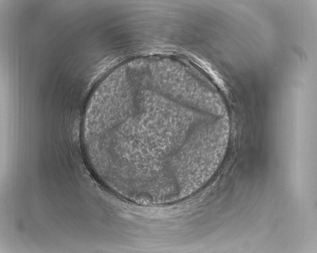 X0000115370010200912011143