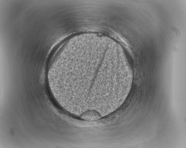 X0000115370012200912011142