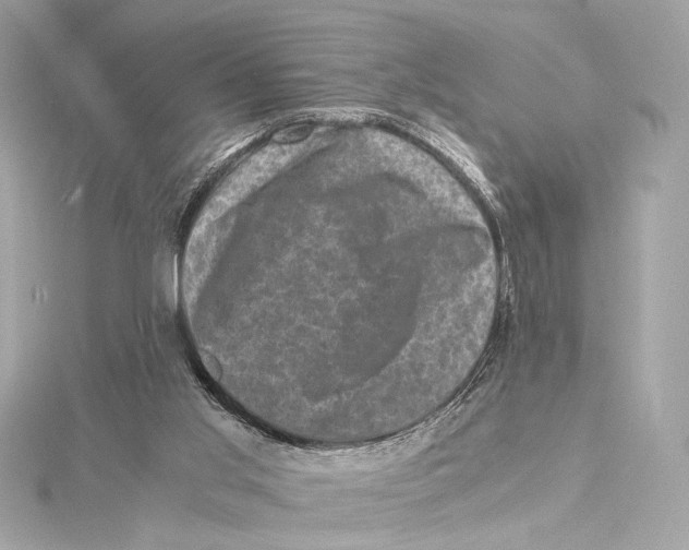 X0000115370013200912011142